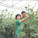 김진오농장 이미지