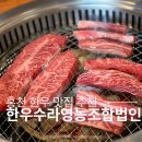 이화영농조합법인 | 홍천 한우 맛집 홍천한우수라영농조합법인 한우모듬 후기