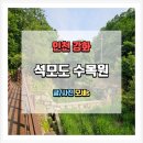 나무와 숲 석모도점 | 석모도 수목원 인천 석모도 여행 중 산책하기 딱 좋은 힐링 명소