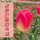 금릉역길 이미지