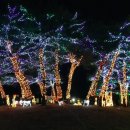 연인산다목적캠핑장 이미지