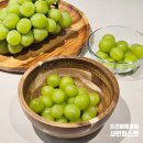 머루농장 | 프리미엄과일 간식 맛있는 샤인머스켓 복주농장
