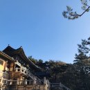 불국로(남) 이미지