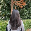 다인헤어 | 경성대부경대 이쁘다헤어 레이어드컷 내돈내산 후기 다인 디자이너