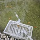 오늘도왁싱 이미지