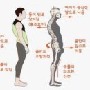 필라트니스 이미지