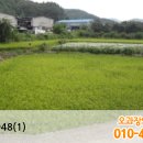 내서읍519 이미지