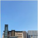 부촌갈비 | 종로 광장시장 60년 전통 부촌육회 미슐랭 미쉐린 맛집 솔직 후기