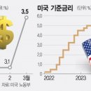 6월 금리 동결전망 74%…일각선 "되레 올려야할 판" 이미지