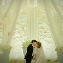 더 화이트 베일 - 475793 | 더 화이트 베일