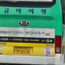 주식회사금아여행 이미지