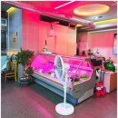 정육식당 | 인천 도화동 대우정육식당 방문 후기