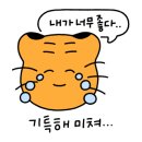 필름더데이즈 이미지