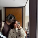 3구장(관람용) 화장실 | 유럽 2주 신혼여행 6-1일차 : 런던 2일차 첼시 구장투어(스탬포드 브릿지 예약방법,위치,소요시간,굿즈...