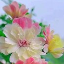 주식회사 내이 이미지