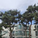 오산시 자원재활용센터 | 오산 에어컨 철거 가전제품 무상수거, 당일 처리로 속 시원하게 처리완료