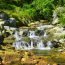 캠프1530 이미지