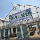 옥계화원