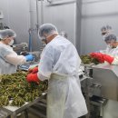 약수산채마을 이미지