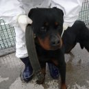 서문치안센터 이미지