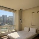 알리스테이 이미지