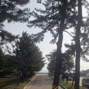 파인뷰펜션