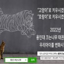 용인대 크는나무 태권도장 이미지