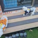 솔마루민박 이미지