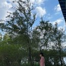 9988병원 | 손목닥터9988 사용법 포인트전환 총정리 | 가입조건 혜택 실제 후기