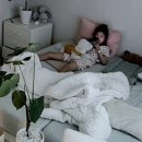 이코그루밍 이미지