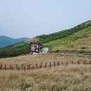 영 농장 이미지