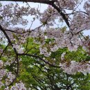 2606 | 2606_호랑이는 죽어서 가죽을 남기고 사람은 가챠를