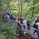 철원 한탄강 주상절리(2023.9.10.일) 바우 이미지