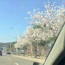 어진로 | [경기/용인시] 국가대표플라워 방문후기