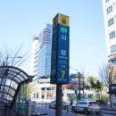 안주 | 대전 둔산동 맛집 리골레토 둔산동 안주맛집 후기