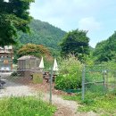 미대농장 이미지