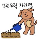 뿜뿜클린
