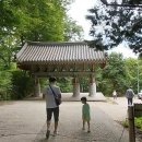 홍룡폭포(홍룡사) Daum카페