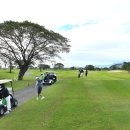 신원골프 이미지