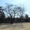 삼도남초등학교 이미지