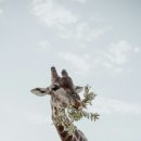 테마호텔 이미지