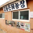 희망소리사 - 포항시 북구 삼호로 7-1 | 희망소리사