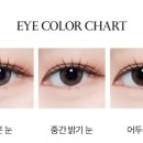 라이크유 티스토리
