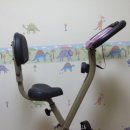 유산소운동기구 xbike 가격인하합니다.^^ 이미지