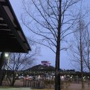 버스정류장_빛가람전망대입구_1 | 나주 빛가람전망대 갈 거면 이건 꼭 챙기세요 (금요일 저녁 방문 후기)