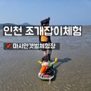 신평어촌계영어조합법인 | 영종도 마시안갯벌체험장, 장비 대여 없이 뽕 뽑는 꿀팁은? (feat. 물때 보는 법)