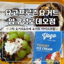 요고프로즌요거트 - 노원구 공릉로27길 90 | 요거트아이스크림 맛집: 압구정로데오카페 요고프로즌요거트 후기