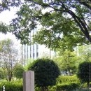 김해김씨 열녀비 이미지