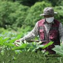 윤종흥농장 이미지