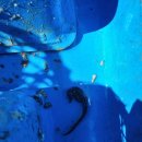 조은수산 이미지